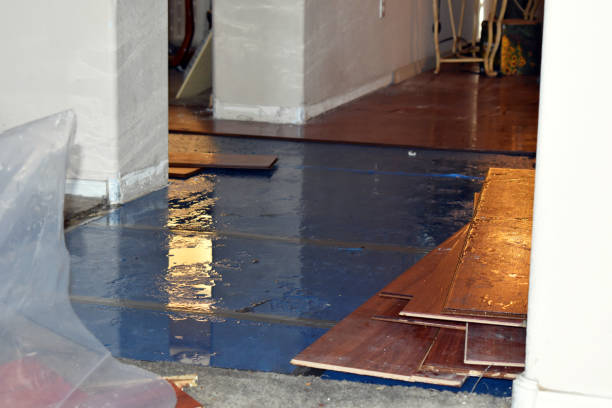 Professional Water Extraction technician working in Cedarpines Park, CA